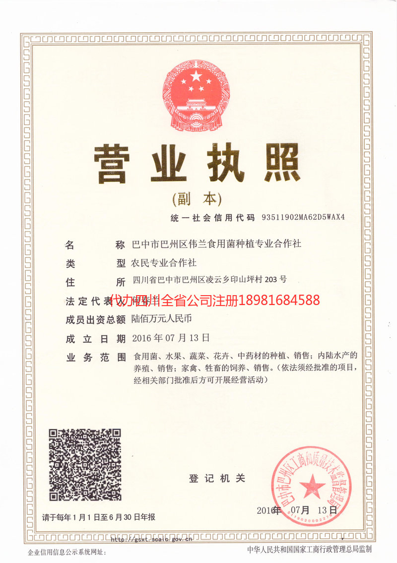 黔西南布依族苗族自治州黔西南布依族苗族自治州伟兰食用菌种植专业合作社